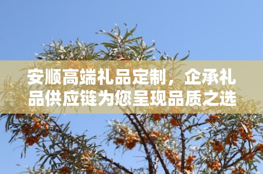 安顺高端礼品定制，企承礼品供应链为您呈现品质之选